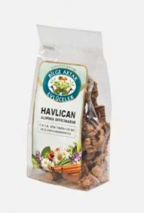 BİLGE AKTAR - HAVLICAN 100 GR